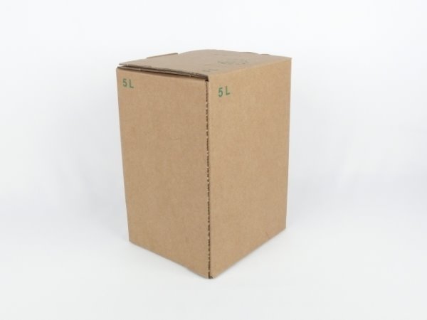 Karton Bag in Box 5 Liter braun, Saftkarton, Faltkarton, Apfelsaft-Karton, Saftschachtel, Schachtel. - 2